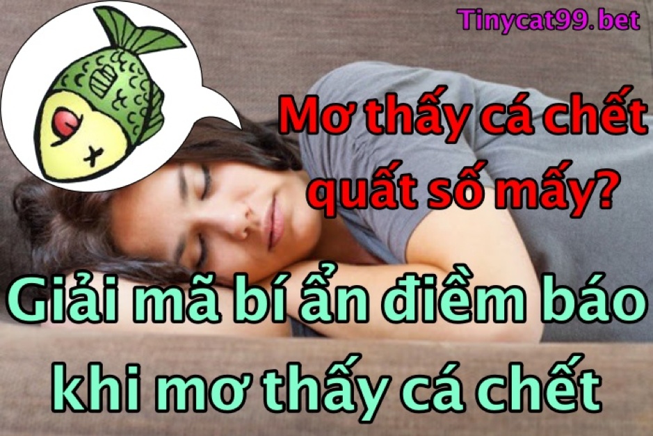 mơ cá chết