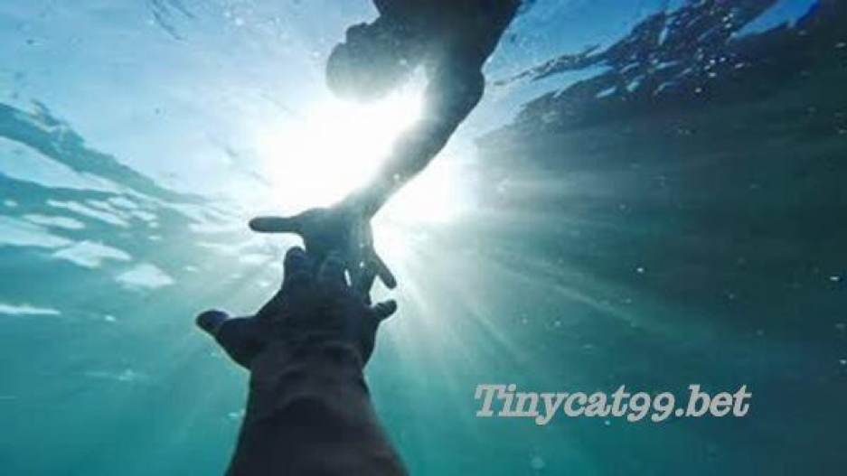 mơ thấy chết đuối đánh con gì, mo thay chet duoi danh con gi, mo thay chet duoi, mơ thấy chết đuối, mơ chết đuối số mấy, mo chet duoi so may