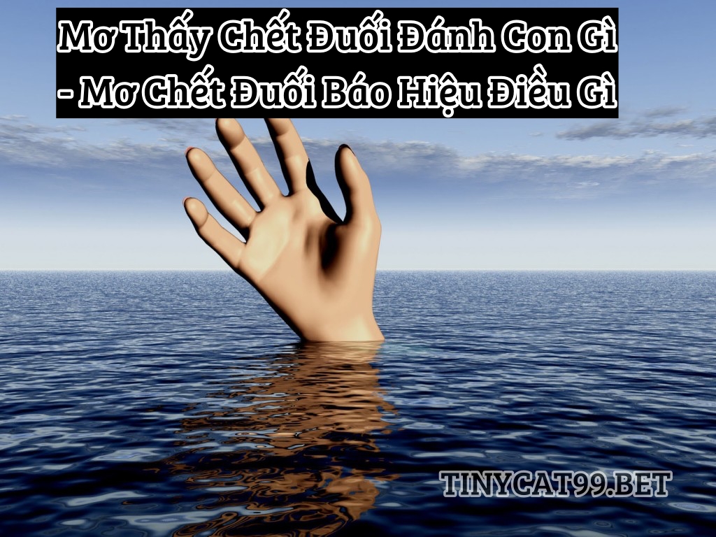 mơ thấy chết đuối đánh con gì, mo thay chet duoi danh con gi, mo thay chet duoi, mơ thấy chết đuối, mơ chết đuối số mấy, mo chet duoi so may