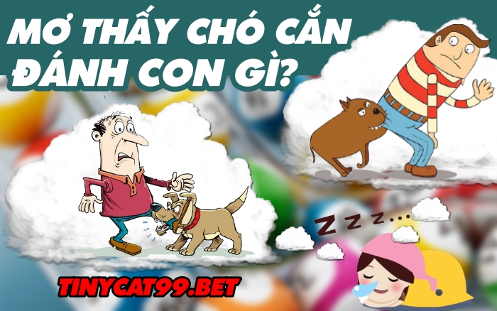 mơ chó cắn đánh đề con gì, mơ thấy chó cắn đánh con gì, mơ chó cắn, chó cắn số mấy