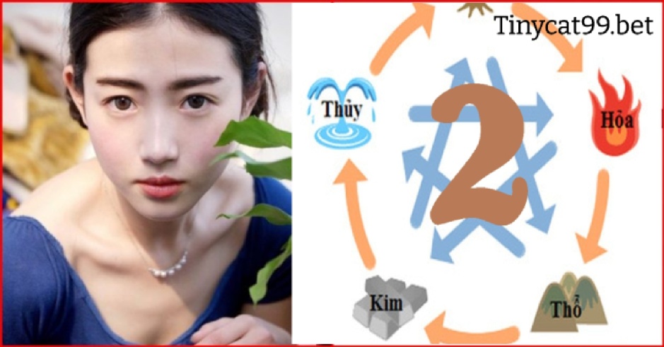 Mơ thấy số 2 đánh con gì phát tài phát lộc