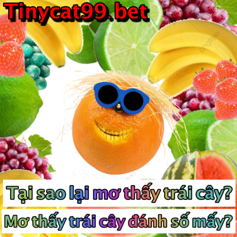 mơ thấy trái cây