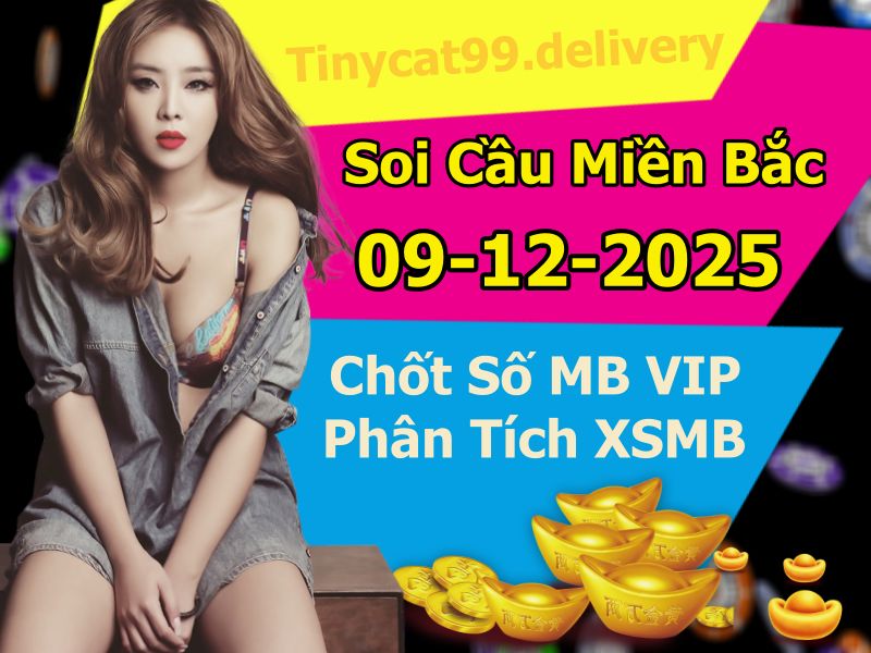 Soi cầu xsmb 09/12/2025, soi cầu mb 09 12 2025, dự đoán xsmb 09-12-2025, btl mb 09 12 2025, dự đoán miền bắc 09/12/2025, chốt số mb 09 12 2025, soi cau mien bac 09-12-2025