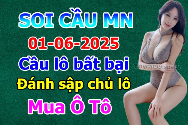 soi cầu xsmn 01-06-2025, soi cầu mn 01-06-2025, dự đoán xsmn 01-06-2025, btl mn 01-06-2025, dự đoán miền nam 01-06-2025, chốt số mn 01-06-2025, soi cau mien nam 01 06 2025