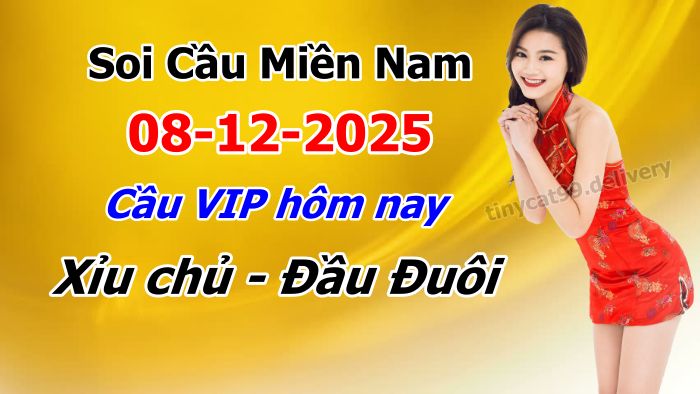 soi cầu xsmn 08-12-2025, soi cầu mn 08/12/2025, dự đoán xsmn 08-12-2025, btl mn 08 12 2025, dự đoán miền nam 08/12/2025, chốt số mn 08-12-2025, soi cau mien nam 08-12-2025