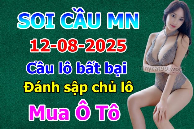 soi cầu xsmn 12 08 2025, soi cầu mn 12/08/2025, dự đoán xsmn 12 08 2025, btl mn 12-08-2025, dự đoán miền nam 12/08/2025, chốt số mn 12 08 2025, soi cau mien nam 12-08-2025