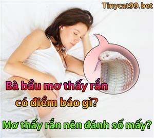 Giải Mã Bà Bầu Nằm Mơ Thấy Rắn? Bà Bầu Nằm Mơ Thấy Rắn Đánh Con Gì?