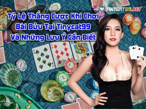 Tỷ Lệ Thắng Cược Khi Chơi Bài Bửu Trên Tinycat99 Và Những Lưu Ý Cần Biết