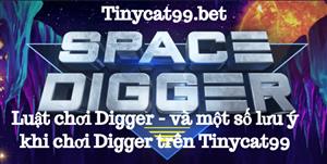 Luật Chơi Digger Và Một Số Lưu Ý Khi Chơi Digger Trên Tinycat99