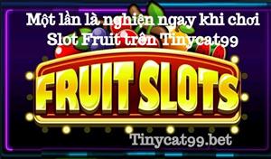 Slot Fruit Là Gì? Luật Chơi Slot Fruit Trên Tinycat99 Chơi Là Nghiện