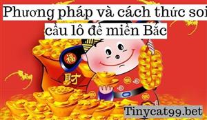 Chia Sẻ Cách Thức Soi Cầu Miền Bắc Chính Xác Nhất Bởi Chuyên Gia