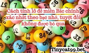 Cách Tính Lô Đề Miền Bắc Chính Xác Nhất Theo Bạc Nhớ, Tuyệt Đối Không Được Bỏ Qua