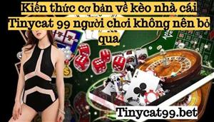 Kiến Thức Cơ Bản Về Kèo Nhà Cái Tinycat99 Người Chơi Cần Biết Rõ