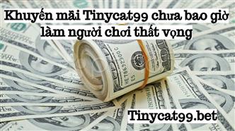 Khuyến Mãi Tinycat99 Chưa Bao Giờ Làm Người Chơi Thất Vọng