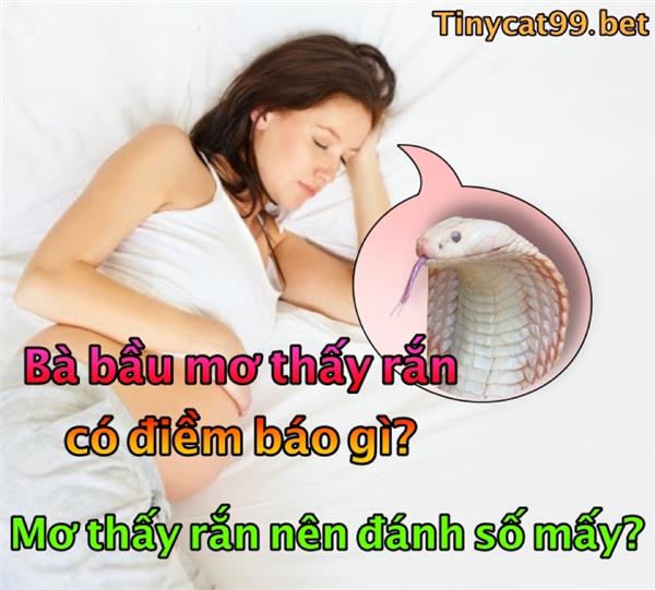 Giải Mã Bà Bầu Nằm Mơ Thấy Rắn? Bà Bầu Nằm Mơ Thấy Rắn Đánh Con Gì?