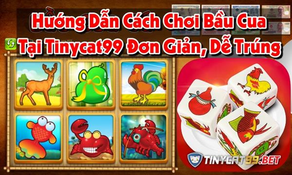 Hướng Dẫn Chơi Bầu Cua Tôm Cá Tại Tinycat99 Đơn Giản, Dễ Trúng Thưởng