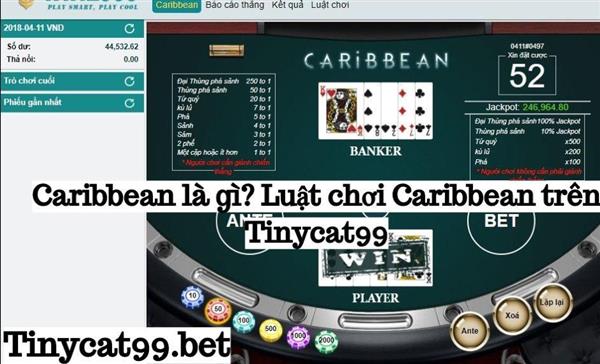 Cách Chơi Caribbean Như Thế Nào? Luật Chơi Caribbean Trên Tinycat99 Ăn Tiền 