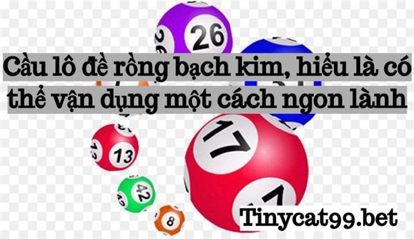 Cầu Lô Đề Rồng Bạch Kim, Hiểu Là Có Thể Vận Dụng Một Cách Ngon Lành