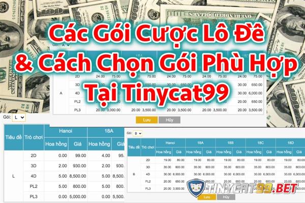 Hướng Dẫn Chọn Gói Cược Thích Hợp Đánh Lô Đề Online Tinycat99