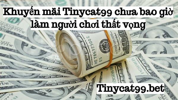 Khuyến Mãi Tinycat99 Chưa Bao Giờ Làm Người Chơi Thất Vọng