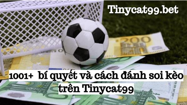 1001+ Bí Quyết Và Kinh Nghiệm Soi Kèo Tại Tinycat99 Để Trúng Thưởng