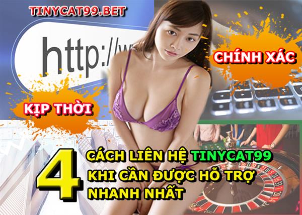 1001+ Cách Liên Hệ Tinycat99 Nhà Cái Uy Tín Số 1 Hàng Đầu Việt Nam