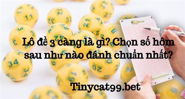 Lô Đề 3 Càng Là Gì? Chọn Số Hôm Sau Như Nào Đánh Chuẩn Nhất?
