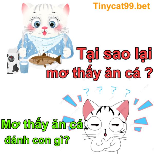 Mơ Thấy Ăn Cá Quất Liền Số Mấy? Ý Nghĩa Và Bí Ẩn Khi Ngủ Mơ Thấy Cá