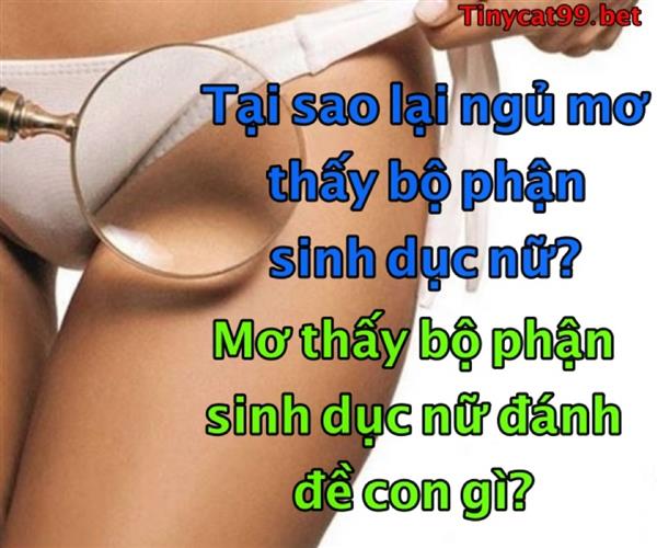 Mơ Thấy Bộ Phận Sinh Dục Phụ Nữ Đánh Số Mấy? Mơ Vùng Kín Đàn Bà Điềm Gì