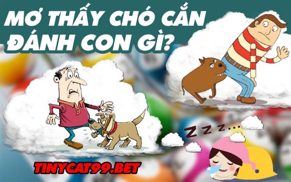 Mơ Thấy Chó Cắn Đánh Con Gì? Điềm Báo Và Bí Ẩn Đằng Sau Giấc Mơ Thấy Chó Cắn 