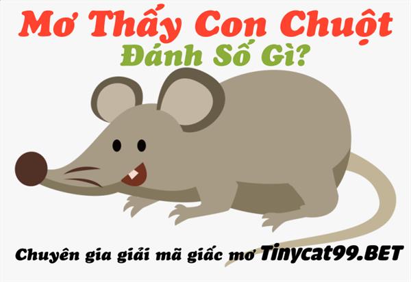 Mơ Thấy Chuột Là Điềm Lành Hay Dữ - Mơ Thấy Chuột Đánh Con Gì?