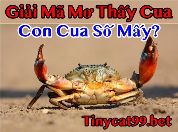 Mơ Thấy Cua Đánh Ngay Con Gì Để Trúng Lớn? Con Cua Số Mấy?