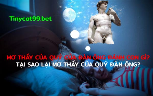 Mơ Thấy Của Quý Đàn Ông Đánh Con Gì? Tại Sao Mơ Của Quý Đàn Ông?