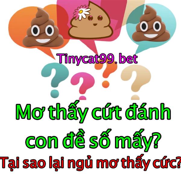 Mơ Thấy Cứt Đánh Đề Con Nào? Giải Mã Bí Ẩn Khi Mơ Thấy Cứt 