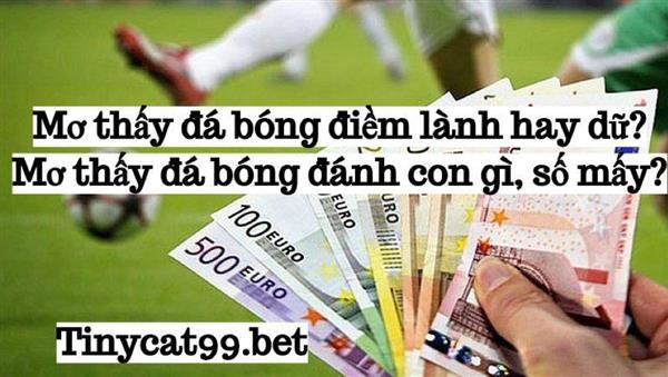 Giải Mã Giấc Mơ Thấy Đá Bóng Đánh Con Gì - Mơ Đá Banh Số Mấy