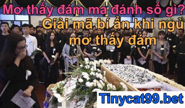 Mơ Thấy Đám Ma Có Điềm Gì? Con Số Bí Ẩn Khi Mơ Đám Tang?