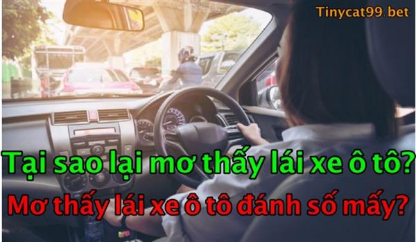 Mơ Thấy Lái Xe Ô Tô Thì Đánh Con Gì? Con Số May Mắn Khi Mơ Lái Ô Tô?