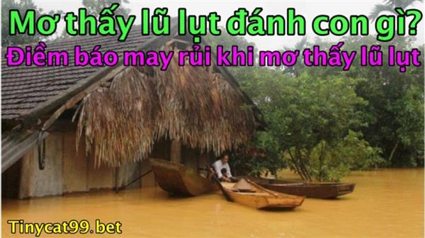 Mơ Thấy Lũ Lụt Thì Đánh Con Gì? Con Số May Mắn Khi Mơ Thấy Lũ Lụt