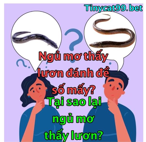 Nằm Mơ Thấy Lươn Thì Đánh Đề Số Nào? Giải Mã Giấc Mơ Lô Đề Về Con Lươn