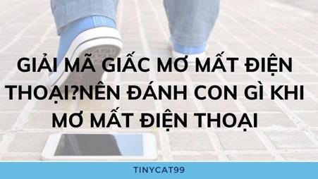 Giải Mã Giấc Mơ Mất Điện Thoại? Nên Đánh Con Số Gì Khi Nằm Mơ Mất Điện Thoại?