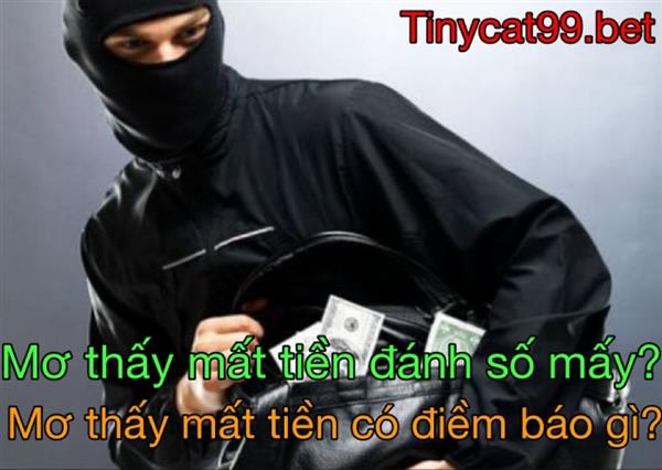 Nằm Mơ Thấy Mất Tiền Có Phải Là Điềm? Đánh Con Gì? Ý Nghĩa Khi Mơ Thấy Tiền