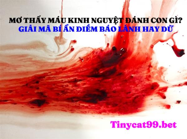 Mơ Thấy Máu Kinh Nguyệt Đánh Số Gì? Giải Mã Bí Ẩn Điềm Báo Giấc Mơ