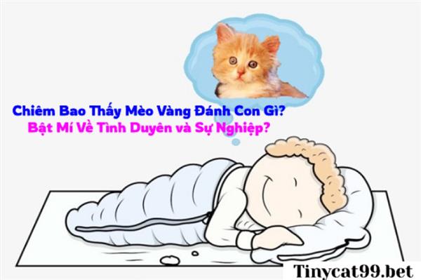 Chiêm Bao Thấy Mèo Vàng Đánh Con Gì? Bật Mí Về Tình Duyên và Sự Nghiệp?