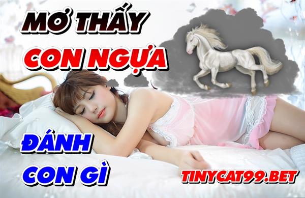 Thấy Ngựa Trong Giấc Mơ Tốt Hay Xấu - Mơ Thấy Ngựa Đánh Con Gì