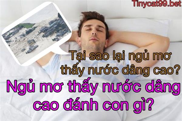 Nằm Mơ Thấy Nước Dâng Cao Đánh Con Gì? Giải Mã Bí Ẩn Giấc Mơ Nước Dâng Cao