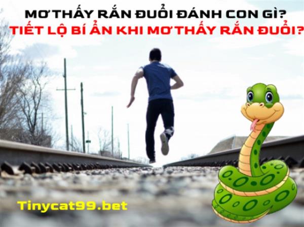 Mơ Thấy Rắn Đuổi Đánh Con Gì? Tiết Lộ Bí Ẩn Khi Mơ Thấy Rắn Đuổi?
