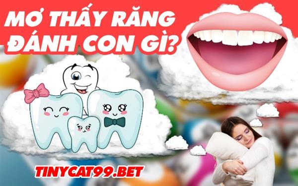 Mơ Thấy Răng Đánh Con Gì? Ẩn Số Về Việc Ngủ Mơ Thấy Răng