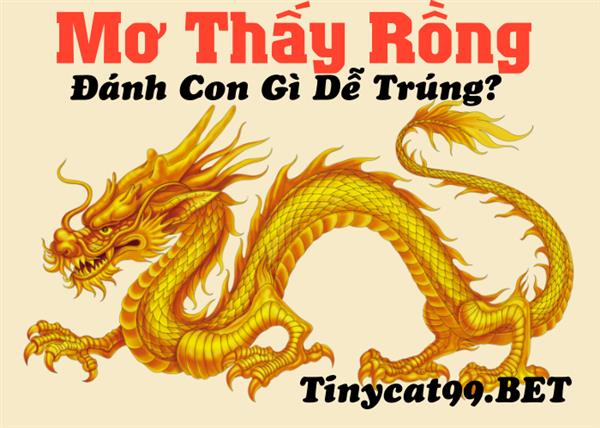 Mơ Thấy Rồng Đánh Số Gì Để “Trăm Trận Trăm Thắng