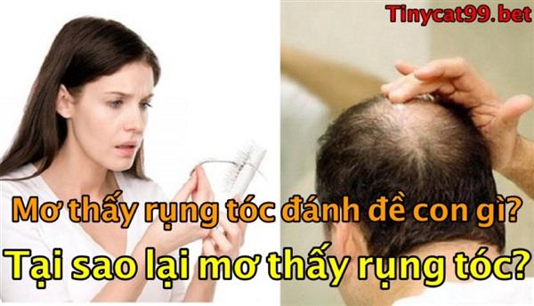 Nằm Mơ Thấy Rụng Tóc Đánh Con Gì? Giải Mã Giấc Mơ Rụng Tóc