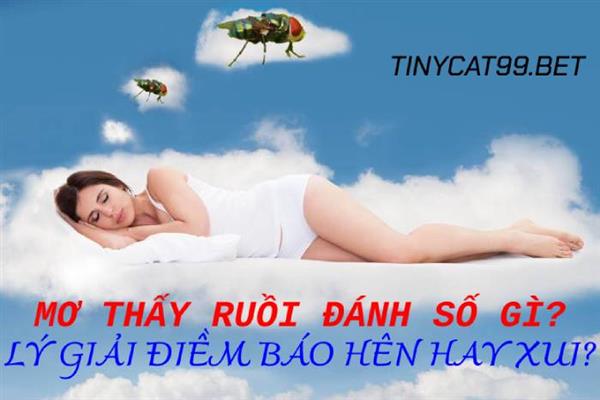Mơ Thấy Con Ruồi Đánh Số Gì? Giải Mã Bí Ẩn Đằng Giấc Mơ Về Loài Ruồi
